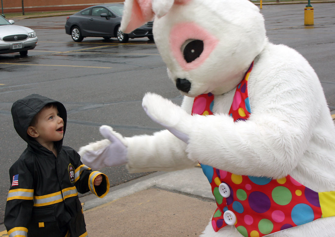 One big bunny